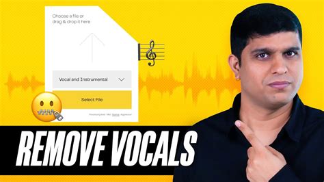 How To Remove VOCALS from ANY SONG for FREE // Lalal.ai .